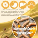 ขมิ้นชัน สมุนไพรซูปเปอร์ฟู้ด